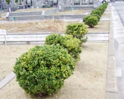 吉相グループの株式会社吉相のEMS墓地施工例