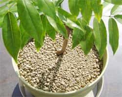 吉相グループの株式会社吉相のEMS墓地施工例